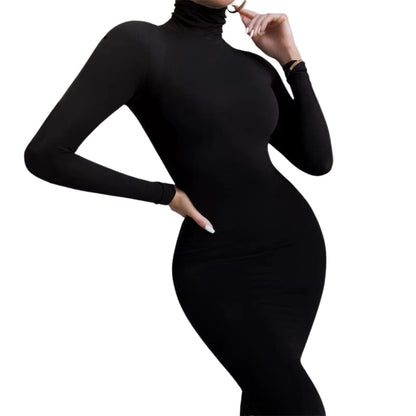 Jill Bodycon Turtle Neck Jumper